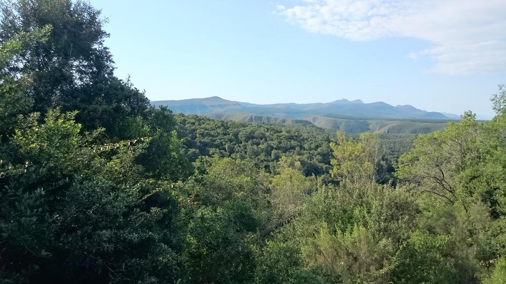 Plettenberg Bay Game Reserve: The Baroness Safari Lodge Екстериор снимка