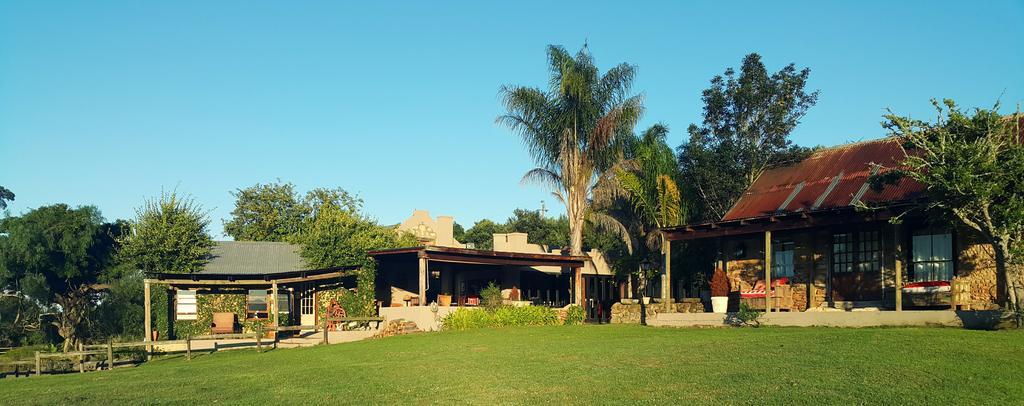 Plettenberg Bay Game Reserve: The Baroness Safari Lodge Екстериор снимка