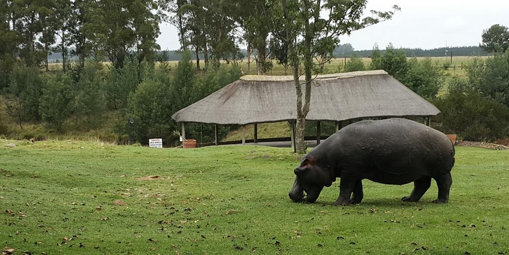 Plettenberg Bay Game Reserve: The Baroness Safari Lodge Екстериор снимка